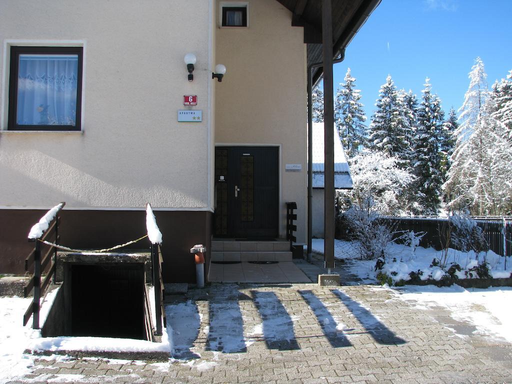 Apartments And Rooms Milena كْرانْيِسكا غورا المظهر الخارجي الصورة